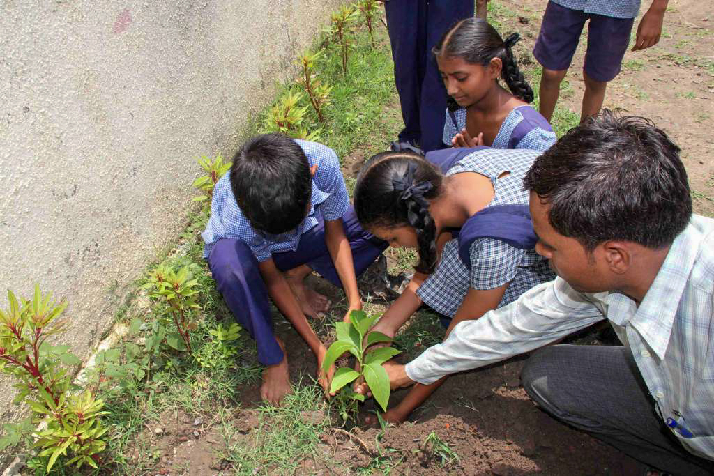 Children sowing plants.